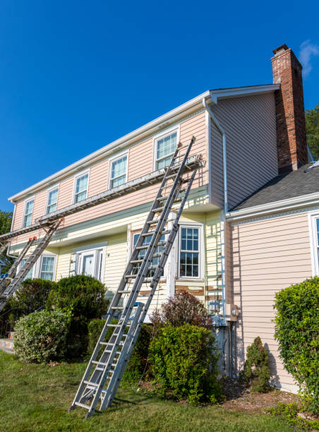 Best Basement Cleanout  in Lake City, PA